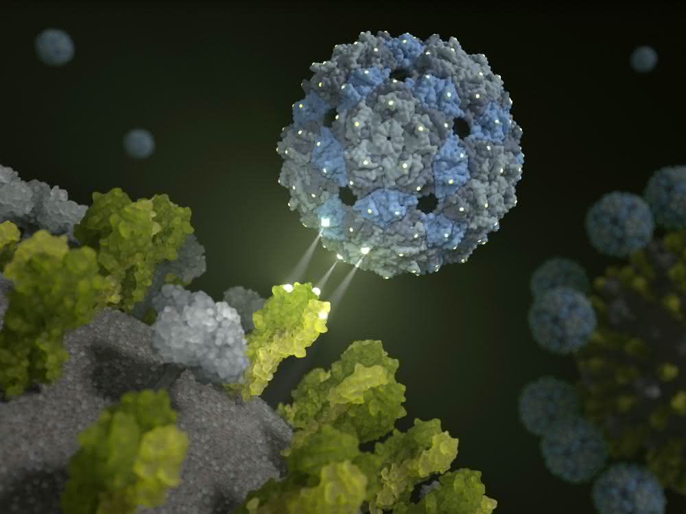 Phagenhülle dockt an und inhibiert das Influenza-Virus (Kunstbild).
