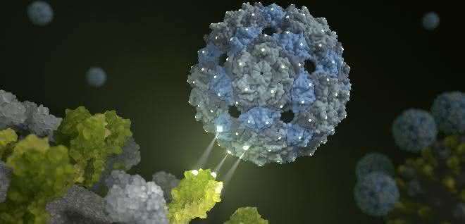 Phagenhülle dockt an und inhibiert das Influenza-Virus (Kunstbild).