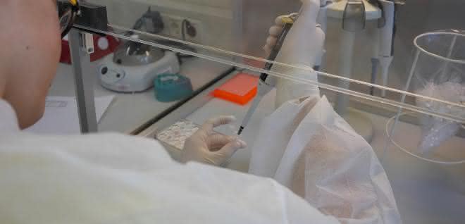 Im Labor: Beim Pipettieren