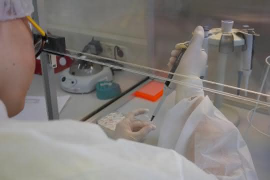 Im Labor: Beim Pipettieren