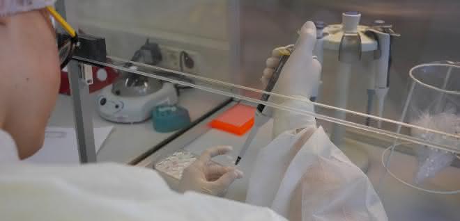 Im Labor: Beim Pipettieren