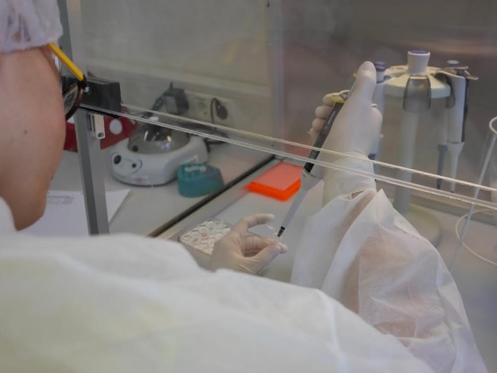 Im Labor: Beim Pipettieren