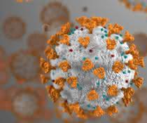 Bild des SARS-CoV-2-Virus