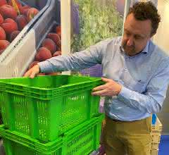 Plastic pallets: Sustainable hygiene during transportation and storage