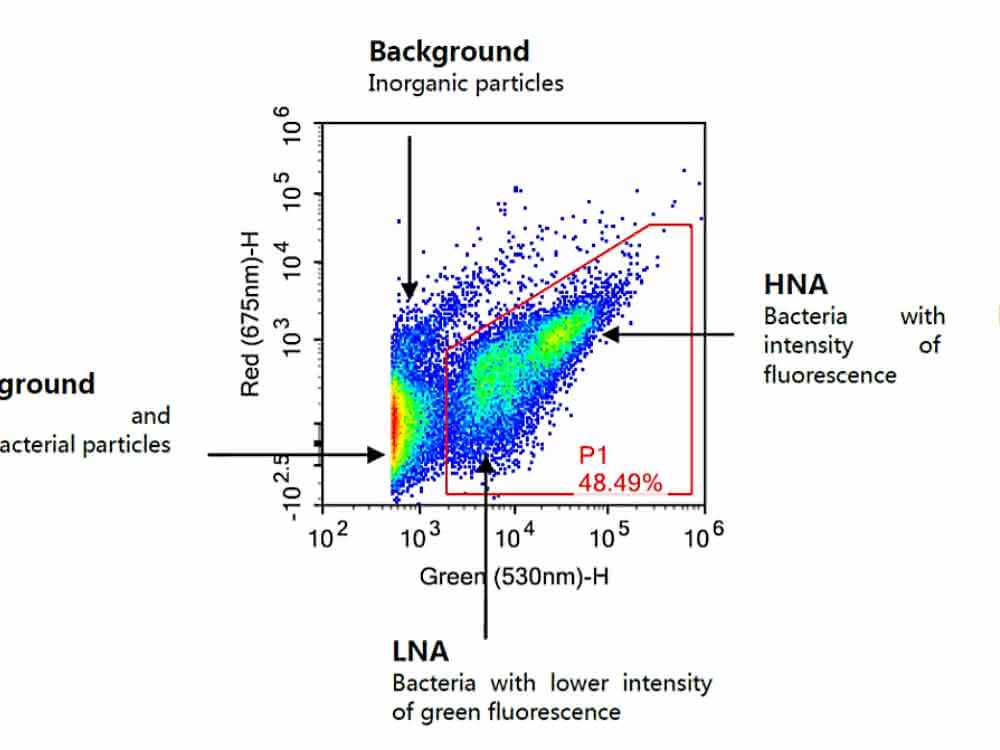 Bild 1: Density Plot der 675-nm-Fluoreszenz über der 530-nm-Fluoreszenz einer Bakterienpopulation in Wasser Density Plot