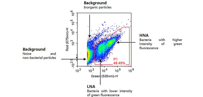 Density Plot