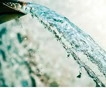 Volumetrische Durchflusszytometrie: Mikroorganismen im Trinkwasser Wasser