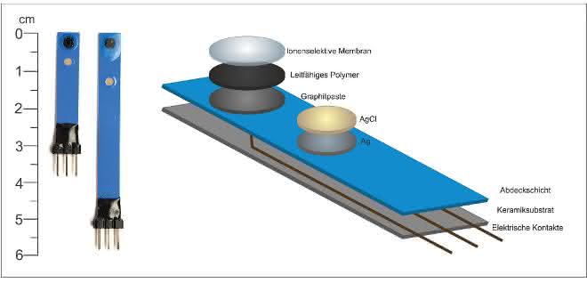 Bild 1: Ionenselektive All-Solid-State-Sensoren (links) und ihr schematischer Aufbau (rechts) Ionenselektive All-Solid-State-Sensoren