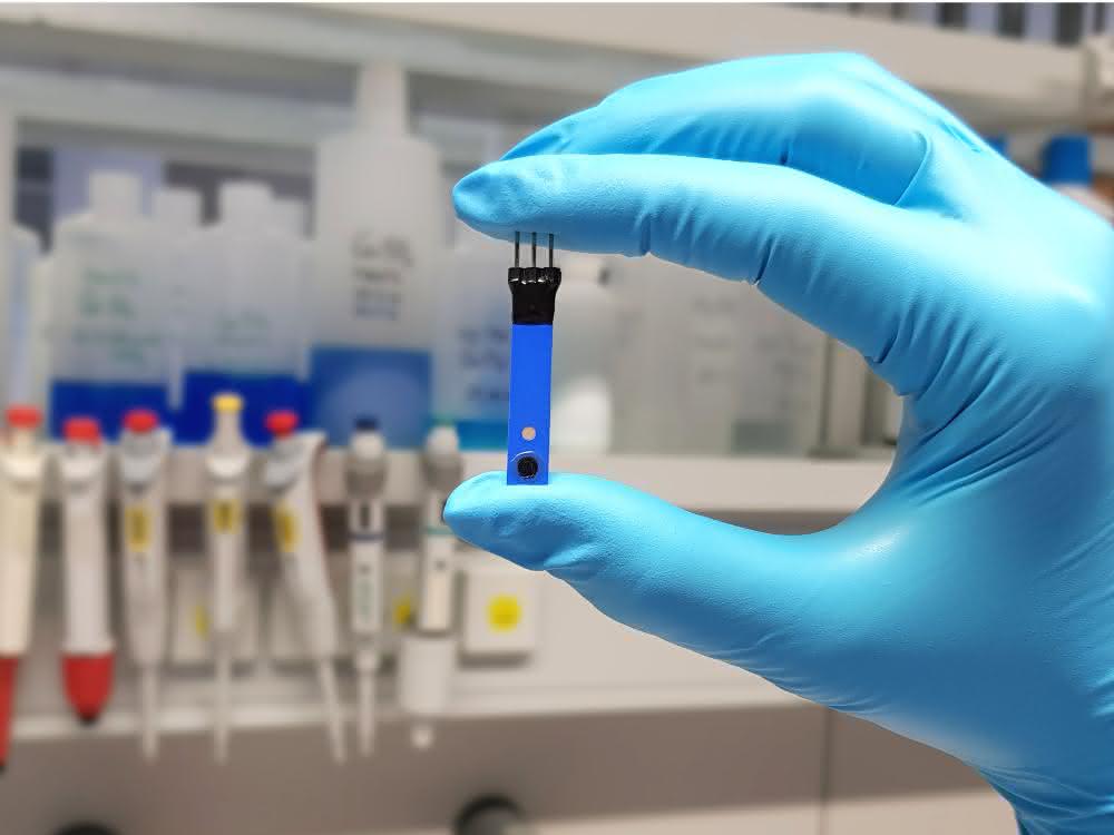 Mobile Wasseranalytik: All-Solid-State-Dickschichtsensoren für potentiometrische Cu<sup>2+</sup>-Bestimmung Behandschuhte Hand hält einen All-Solid-State-Dickschichtsensor zwischen Daumen und Zeigefinger