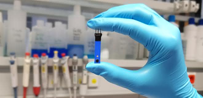 Mobile Wasseranalytik: All-Solid-State-Dickschichtsensoren für potentiometrische Cu<sup>2+</sup>-Bestimmung Behandschuhte Hand hält einen All-Solid-State-Dickschichtsensor zwischen Daumen und Zeigefinger