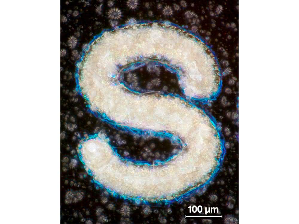 Schreiner-CLF_Microtext_Overlay
