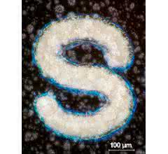 Schreiner-CLF_Microtext_Overlay