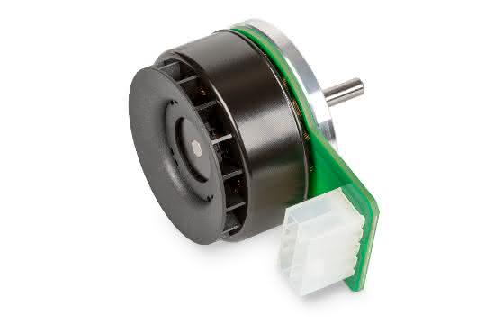 Maxon-EC 45 flat