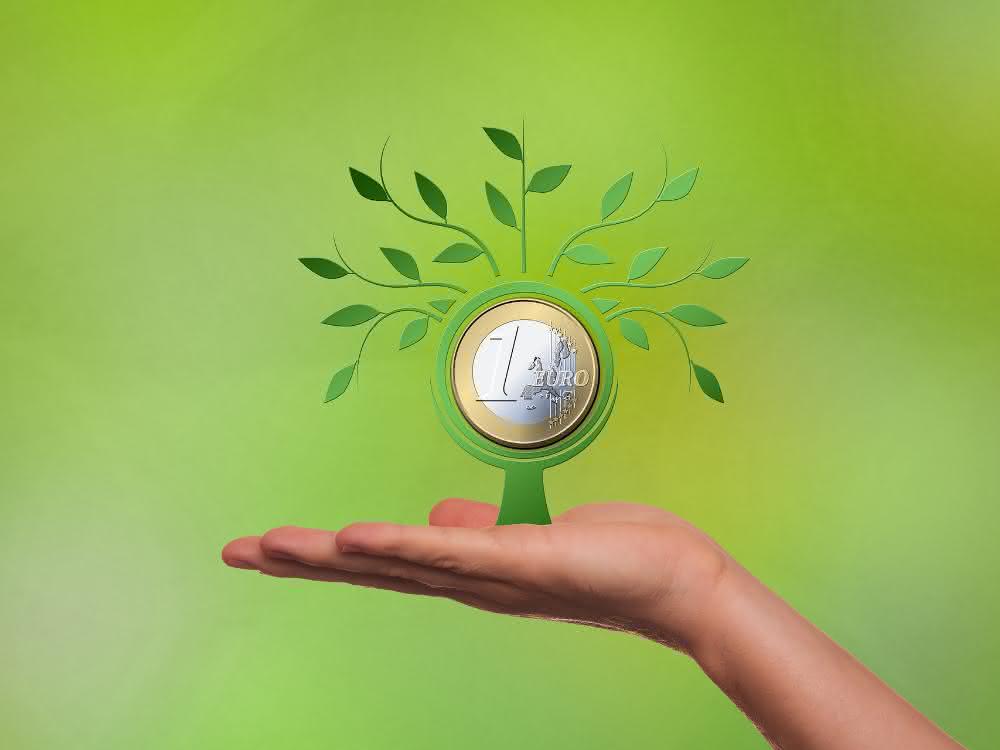 Seeking capital - between financing and investment