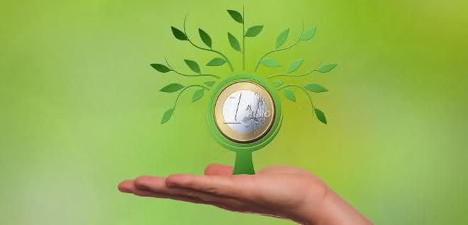 Seeking capital - between financing and investment