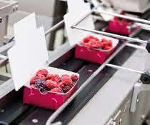 Groschopp-Loesungen packaging technology Groschopp-Loesungen packaging technology