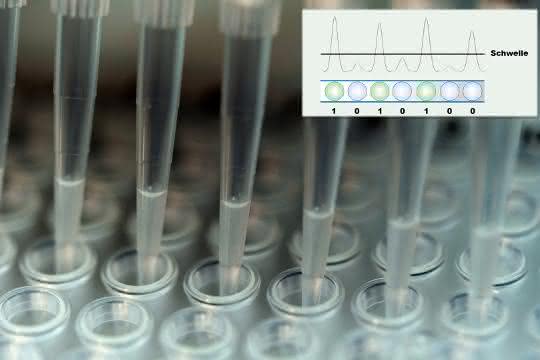 Multipipette beim Befüllen einer Multiwell-Platte (plus Grafik)