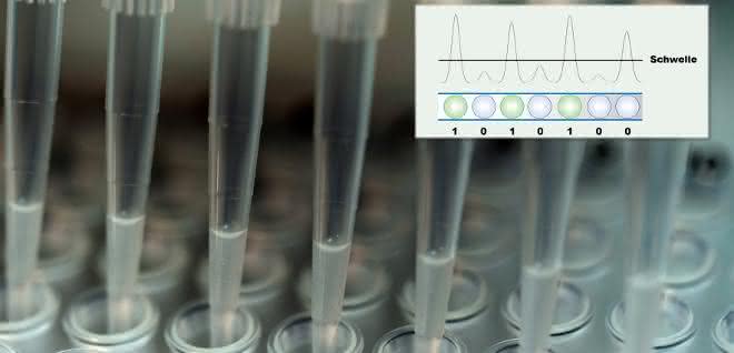 Multipipette beim Befüllen einer Multiwell-Platte (plus Grafik)