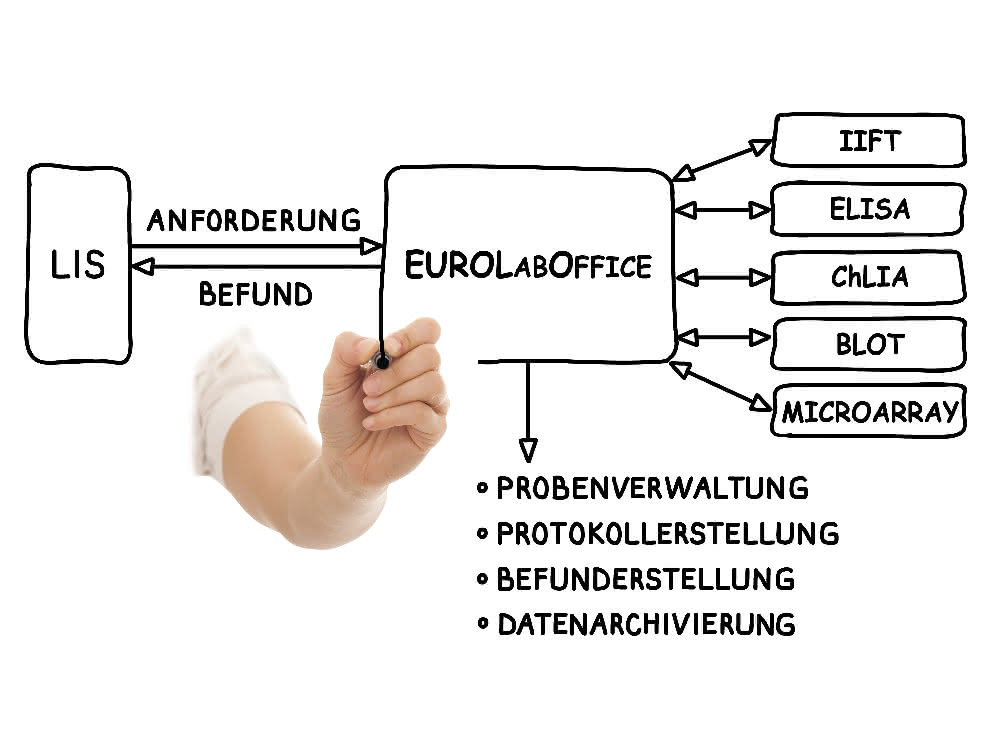 Alle Tests für die Diagnostik von Euroimmun werden in einer Software konsolidiert Schaubild Schema