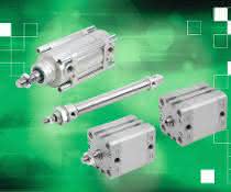 Pneumatic cylinder