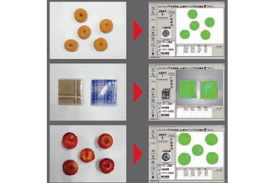 Image processing: Vision system detects irregularly shaped objects