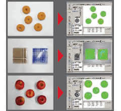 Image processing: Vision system detects irregularly shaped objects