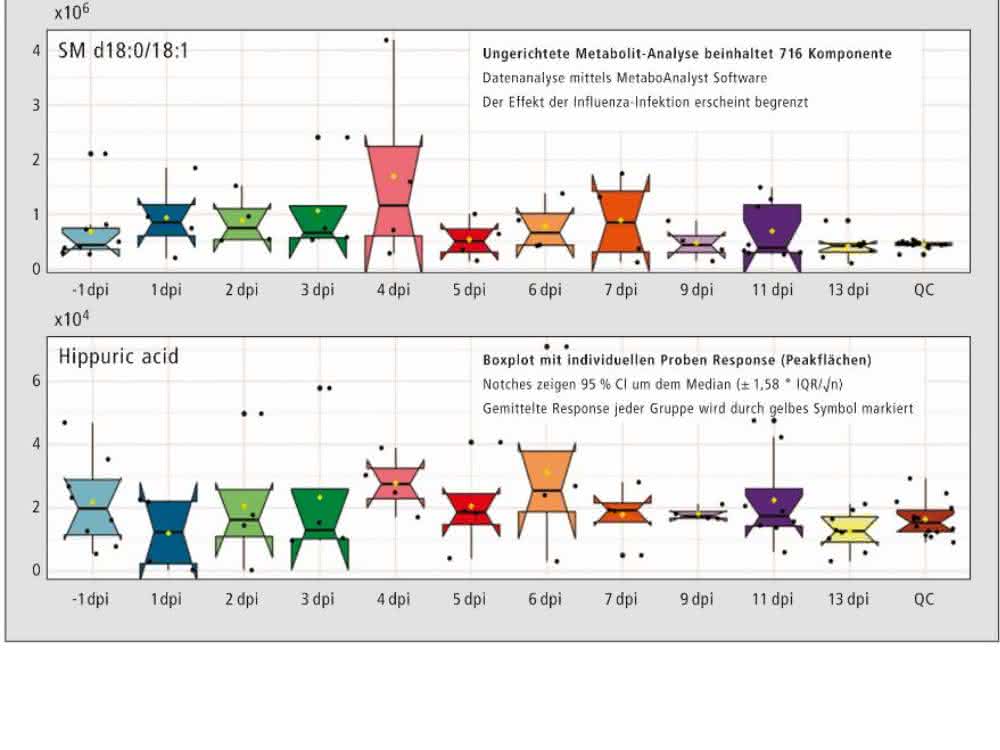 Boxplot der Response