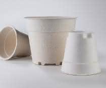 Optisch nah am Kunststoff Naturfaser-Verpackungsprodukte