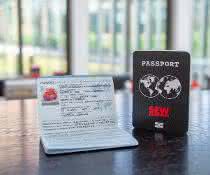 SEW-Reisepass-DRN-Motoren SEW-Reisepass-DRN-Motoren