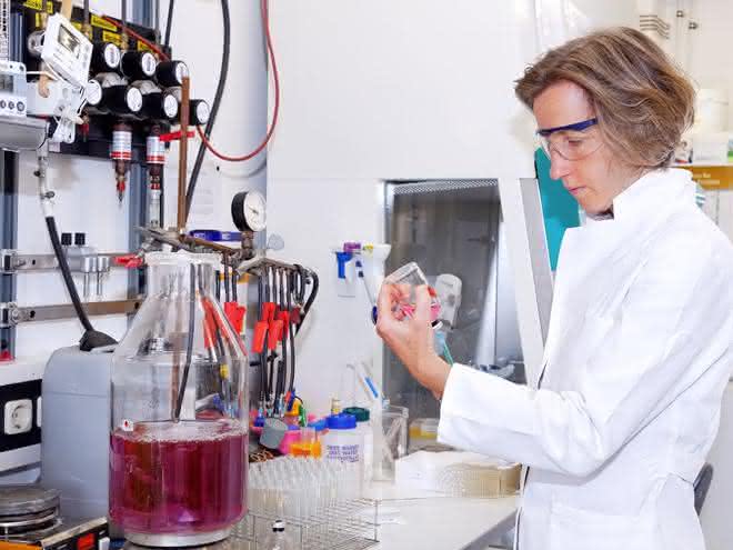 Professorin Ruth Schmitz-Streit im Labor
