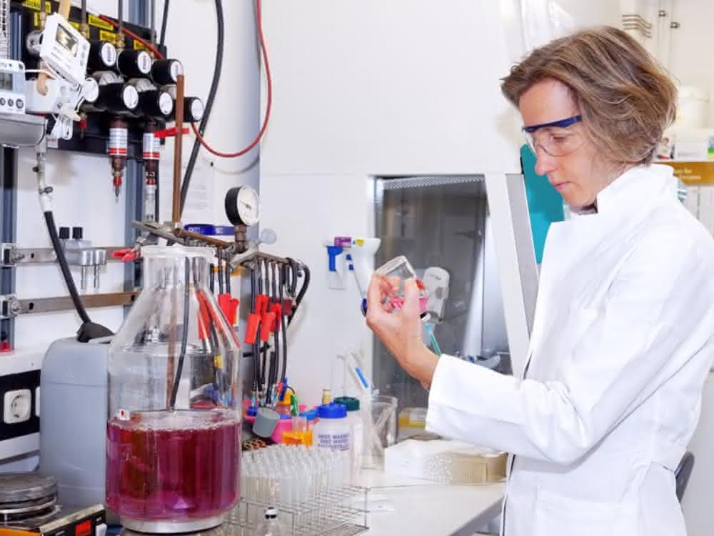 Professorin Ruth Schmitz-Streit im Labor