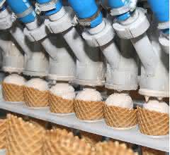 Tsubaki ice cream