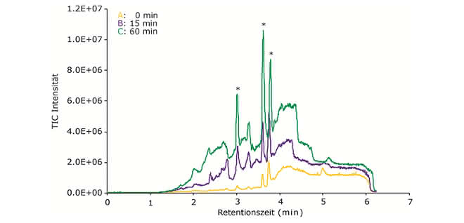 Bild 1. Anreicherung von Kontaminanten auf einer HPLC-Säule während der Equilibrierung (für A: null, B: 15 und C: 60 Minuten) und Elution über einen Gradientenlauf. Die den Weichmachern zugeordneten Peaks sind mit einem Sternchen (*) gekennzeichnet. (Probe: Weichmacher, die durch das Einweichen von Kunststoffschläuchen in wässriges Lösungsmittel A ausgelaugt wurden; Bedingungen: Gerät: Bruker Esquire 6000plus; mobile Phase: A: Wasser/Acetonitril 95/5 (v/v) + 0,1 % Ameisensäure und B: Acetonitril + 0,1 % Ameisensäure; Gradient: 0 min 100 % A, 3 min 5 % A, 2 min 5 % A; Flussrate 0,4 ml/min; 25 °C; Detektor: pos. ESI-MS (TICs).) Spektren