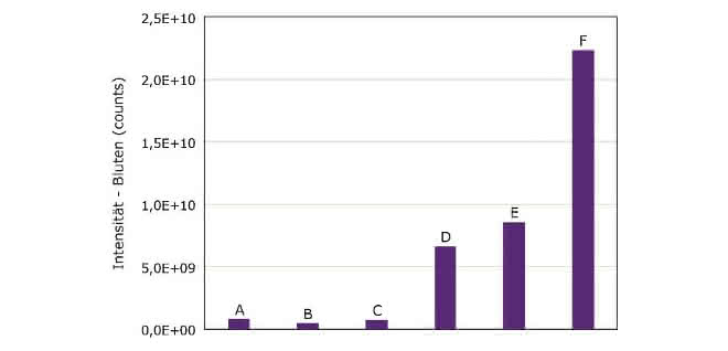 Bild 3. Quantifizierung des HILIC-Säulenblutens verschiedener Säulen von Merck im Vergleich zu alternativen Produkten, gemessen mittels Massenspektrometrie. A: Merck Purospher® STAR Si 100-2.1, B: Merck ZIC®-HILIC 100-2.1, C: Marke A HILIC 100x2.1 (Normalphasenmaterial), D: Marke B HILIC 100x2 (Ammonium-Sulfonsäure), E: Marke C HILIC 100x2 (Phosphorylcholin), F: Marke D HILIC 100x2.1 (Ammonium-Sulfonsäure). Bedingungen: Säule wie angegeben; mobile Phase: Acetonitril/25 mM Ammoniumacetat; pH 6.8 80/20 (v/v), 6 min; Fluss: 0,8 ml/min; Temperatur: 50 °C; Detektor: Ionenfallen-MS (m/z 50-2 000); Detektionsdauer fünf Minuten. Diagramm zur Quantifizierung des HILIC-Säulenblutens verschiedener Säulen von Merck im Vergleich