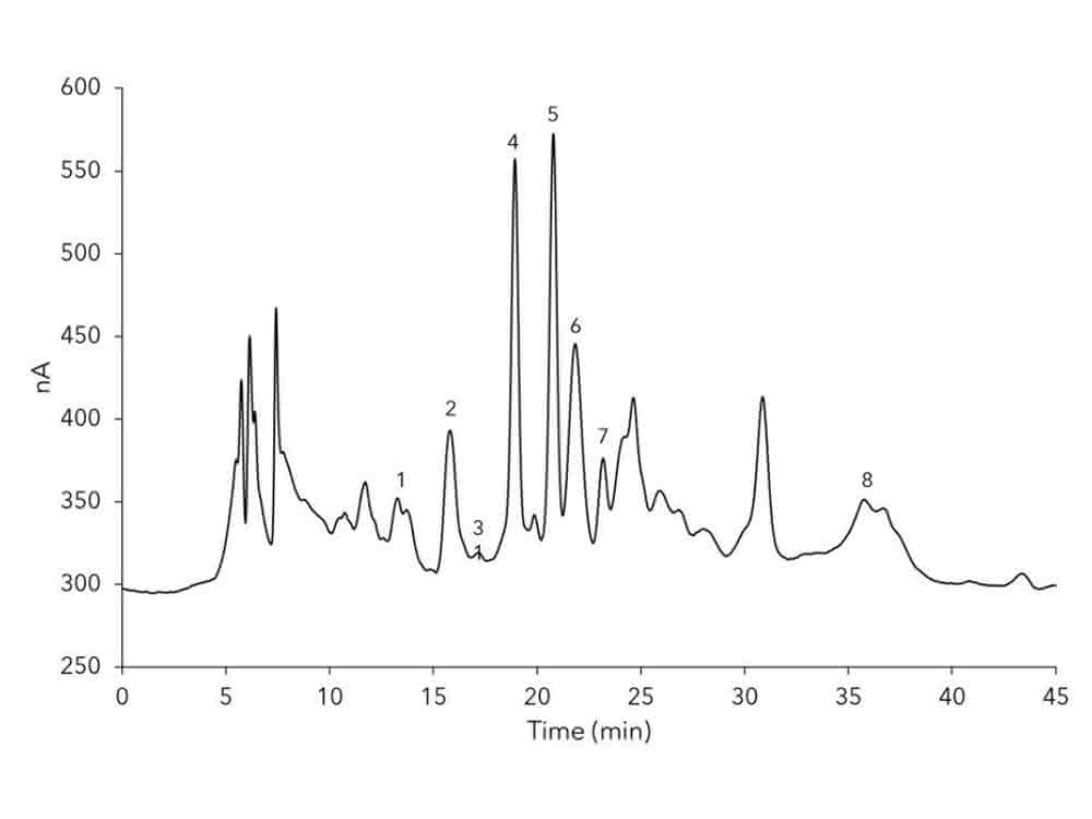Chromatogramm