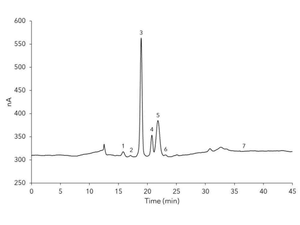 Chromatogramm
