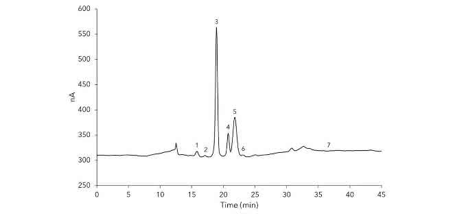 Chromatogramm