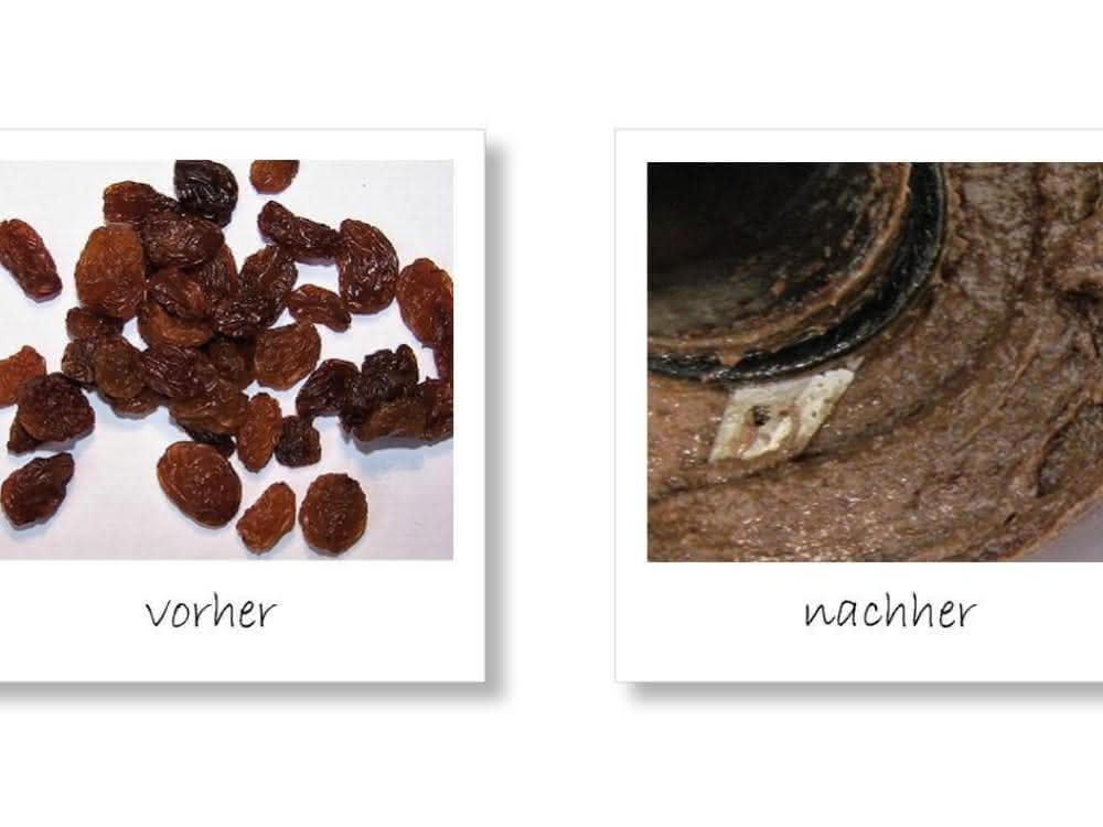Rosinen vor und nach der Zerkleinerung in der Labormühle Rosinen