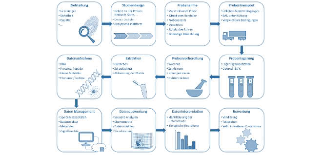 Workflow für Fingerprinting-Analysen