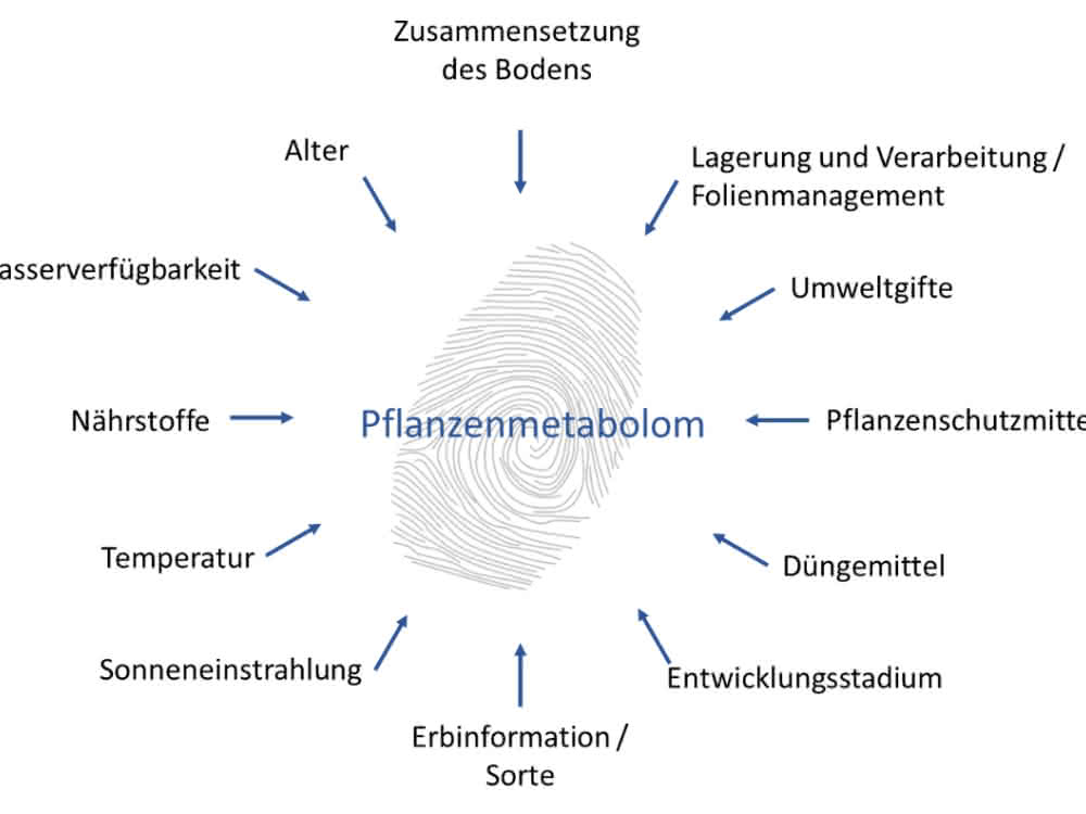 Endogene und exogene Parameter