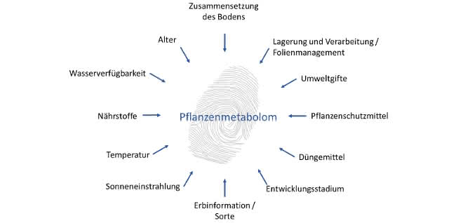 Endogene und exogene Parameter