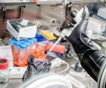 Arbeit an der Entwicklung neuer Katalysatoren Eindruck von der Forschungsarbeit (Pipettiervorgang)