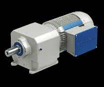 Gear motor