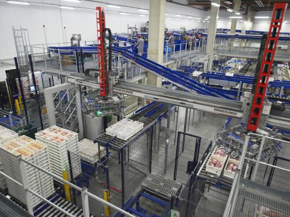 Vanderlande Vollautomatische Depalettierung bei Edeka Südwest Fleisch