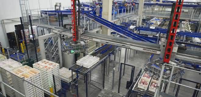 Vanderlande Vollautomatische Depalettierung bei Edeka Südwest Fleisch