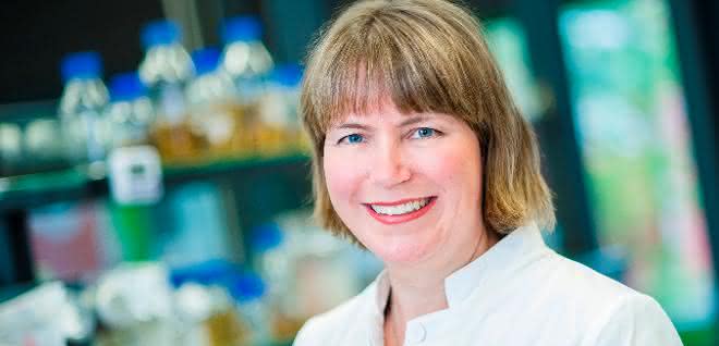 Prof. Dr. Julia Bandow leitet den Lehrstuhl Angewandte Mikrobiologie und leitet das Center für systembasierte Antibiotikaforschung. Julia Bandow