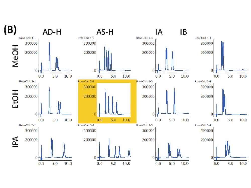 Bild 2: Chromatogramme des Bromuconazol-Standards (B)