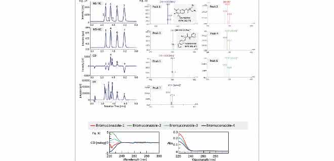 Bild 3: Chromatogramme und Spektren der Untersuchungen eines Bromuconazol-Standards