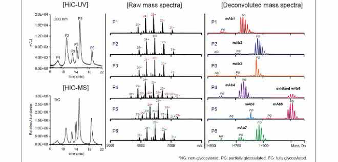 Chromatogramm und Massenspektren einer MAb-Mischung