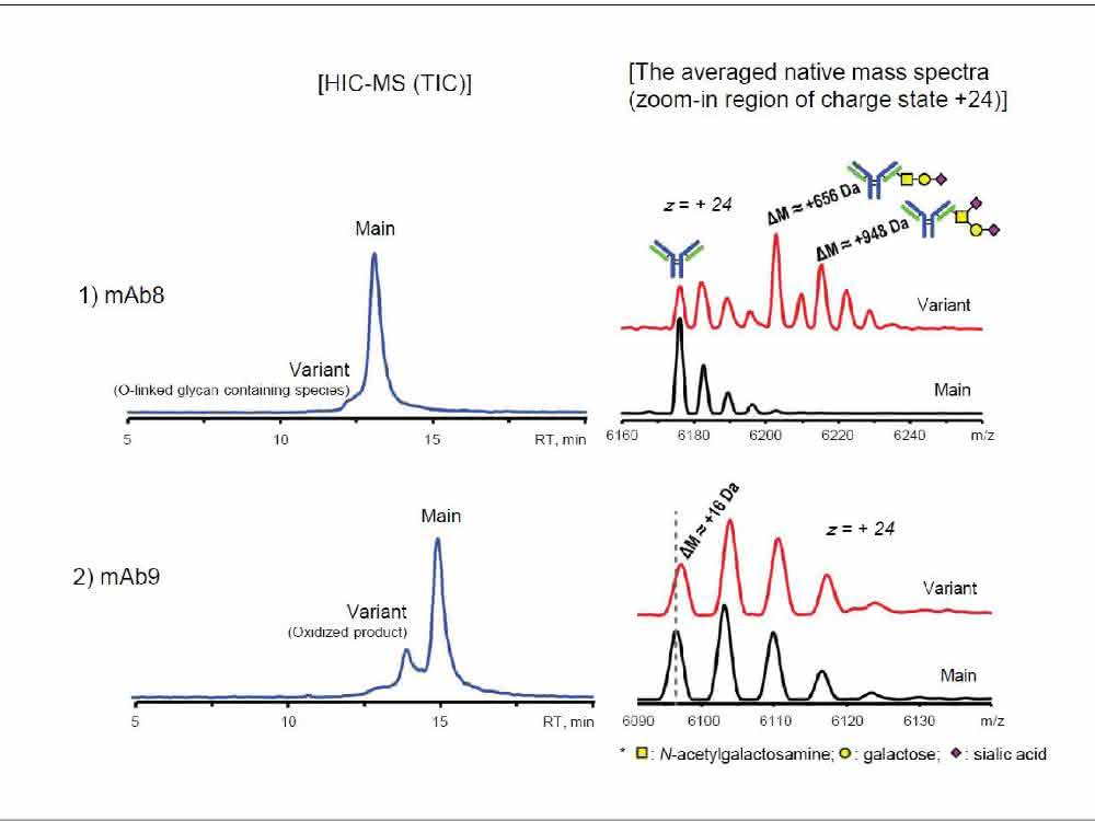 Chromatogramme und Massenspektren der MAb-Varianten, induziert durch PTM